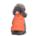 Detailed rear view of a warm orange quilted pet winter jacket worn by a gray poodle dog. - XS / Orange