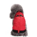 Detailed view of red winter dog jacket with zipper and D-rings for leash attachment - S / Red Quilted Zipper Padded Vest (DZ129) / Red
