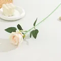 Detailed shot of single artificial rose flower with realistic petals and long green stem. - Small Velvet Champagne