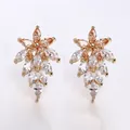 Elegant AAA zircon cluster stud earrings, sparkling champagne and clear stones for bridal wear. - Warm Champagne (Silver Post)