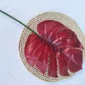 Gros plan sur feuille de monstera artificielle rouge sur tapis tressé pour décoration. - Rouge
