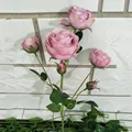 Künstliche mehrköpfige Rosen, eleganter rosa Blumenstrauß für Heimdekoration und Wohnzimmer. - Canvas-Stoff in Lavendel