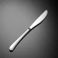 Stainless steel dining knife 304 heavy steak knife elegant table cutlery 23cm 98g tool - Dinner Knife