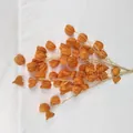 Close-up artificial orange lantern fruit branch, decorative silk flower for home and wedding. - Autumn Yellow