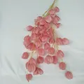 Artificial starfruit lantern flower detail view, pink silk floral vine for wedding and home decoration - Peach Pink