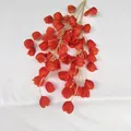 Artificial lantern fruit silk flowers branch for home wedding party decor orange fake floral - Sunset Red