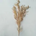 Gold artificial plant detail branch, sparkling metallic foliage for wedding decor display. - 1-Meter Phoenix Fern