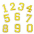 Toppe ricamate numeri dorati termoadesive per vestiti uniformi artigianato set 0-9 - Set di numeri / Oro