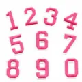 Pink embroidered number patches 0-9 for clothing decor and school uniform DIY patches - Number Set / Hot Pink