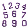 Purple number embroidered patch set, digits 0 to 9, approx 5.2cm height, ideal for DIY. - Number Set / Purple
