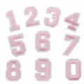 Toppe con numeri ricamati 0-9 rosa bianco fai da te uniforme scolastica badge altezza 5,2cm - Set di numeri / Rosa