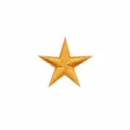 Gold star embroidery patch, DIY mini five-pointed star applique for clothing repair and decor. - Cartoon Star / Gold