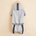 Simpatico set felpa con cappuccio e pantaloni della tuta grigi per animali domestici. - Grigio
