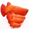 Primo piano dettagliato del giocattolo pesce in peluche con stampa realistica e design morbido. - Taglia piccola circa 20 cm (senza confezione) / Arowana rosso