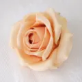 Light Autumn Yellow Artificial Rose Flower Head 10cm DIY Wedding Gift Box Decor. - Light Autumn Yellow