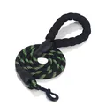 Black and neon green reflective dog leash with soft padded handle and durable metal clasp. - Black Green