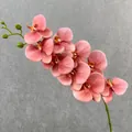 Artificial 9-head 3D Phalaenopsis pink orchid flower branch for home decor and wedding arrangement - Amber