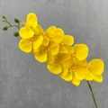 Artificial yellow orchid branch 3d soft rubber fake flower for home wedding decor - Bright yellow