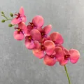 Artificial Phalaenopsis orchid branch with 9 flower heads, fake silk flowers for home wedding decor. - Agate Red