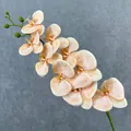 Artificial 9-head 3D Phalaenopsis orchid flower stem for elegant home and wedding decor - Wheat