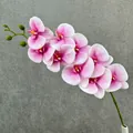 Artificial 3D Phalaenopsis orchid branch, 9-head faux flower for home wedding decor variant. - Purple Center White