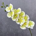 Artificial phalaenopsis orchid stem 3D soft rubber fake flower home wedding decor SKU - Green
