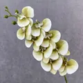 Artificial 3D Butterfly Orchid 9-Head Faux Phalaenopsis Flower for Home Wedding Decor - Matcha Green