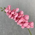 Artificial 3D Phalaenopsis orchid faux flower branch for home decor and wedding display. - Pink Plum Blossom