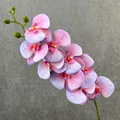3D artificial phalaenopsis orchid stem single fake flower pink purple for home decor - Rainbow Purple