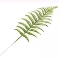 Close-up macro detail of artificial green fern leaf with a sparkling glitter finish - Green