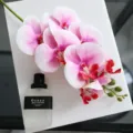 Τεχνητή ορχιδέα Phalaenopsis λευκό μωβ κέντρο 60cm ψεύτικο μπουκέτο για διακόσμηση σπιτιού - Λευκή Μοβ Καρδιά
