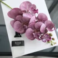Ψεύτικη Ορχιδέα Phalaenopsis Λουλούδι Μωβ Παραλλαγή, 60cm Μακρύ 3D Touch Διακόσμηση σπιτιού - Μωβ της Ίριδας