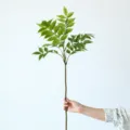 Artificial green plant branch faux foliage greenery stem for home interior decoration length 76cm - Lacquered Wood Small Single Branch / Green