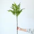 Artificial Nandina plant branch green fake foliage stem floral arrangement home decor 92cm - Lacquered Wood Large Single Branch / Green