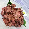 Artificial hydrangea flower head 5-head 180 petals fake floral for home wedding decoration - Caramel color