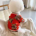 Perro pequeño blanco con suéter rojo de punto, osos marrones y bordes a rayas, sentado en un sofá - XS / Rojo