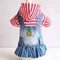 Red striped hoodie with denim pineapple skirt for small dogs and cats outdoor dress - XS / Red Stripe Pineapple Embroidered Denim Skirt