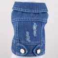 Macro detail view of a stylish ripped denim pet vest with white decorative buttons - XS / White Buttons & Distressed