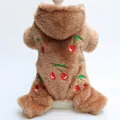 Detailansicht eines braunen Plüsch-Hunde-Hoodies mit gestickten Kirschmustern - Brown cherry embroidered four feet / XS