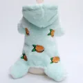 Detailansicht eines weichen mintgrünen Haustier-Fleece-Overalls mit Orangenstickerei - XS / Mintgrün