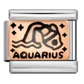 Detailed close-up of Aquarius zodiac stainless steel Italian charm link - Aquarius (ICJ185)