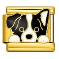 Eslabón de charm italiano de acero inoxidable dorado con diseño de perro en esmalte - Estilo Border Collie (ICJ1482-2)