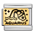 Aquarius zodiac modular charm link for Italian bracelets in gold and silver finish alloy - Aquarius (ICJ252-1)