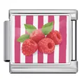 Stainless steel Italian charm link with raspberry and pink striped design for DIY bracelets - Raspberry Style (JCAA0095-1)