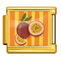 Gold stainless steel Italian charm bracelet modular link with passion fruit design. - Passion Fruit Style (JCAA0096-2)