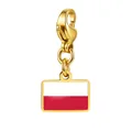 Vergoldeter Edelstahl-Karabineranhänger mit polnischer Flagge für DIY-Schmuckdesigns - Polen Flagge Anhänger (RS-TPG573-2-PL) / 7x10mm