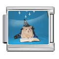 Durable stainless steel Italian charm link with a whimsical wizard hamster reading design - Wizard Hamster (JCAA0105-1) / Silver