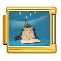 Gold stainless steel Italian modular charm featuring a cute wizard hamster photo print - Wizard Hamster (JCAA0105-2) / Gold