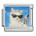 Stainless steel Italian modular charm link with a cool cat holding a sparkling gun - Cat with Gun Pattern (JCAA0108-1) / Silver