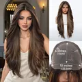 Detailed view of the 13x6 lace area and cap construction for this brown wavy wig. - Brown Highlight